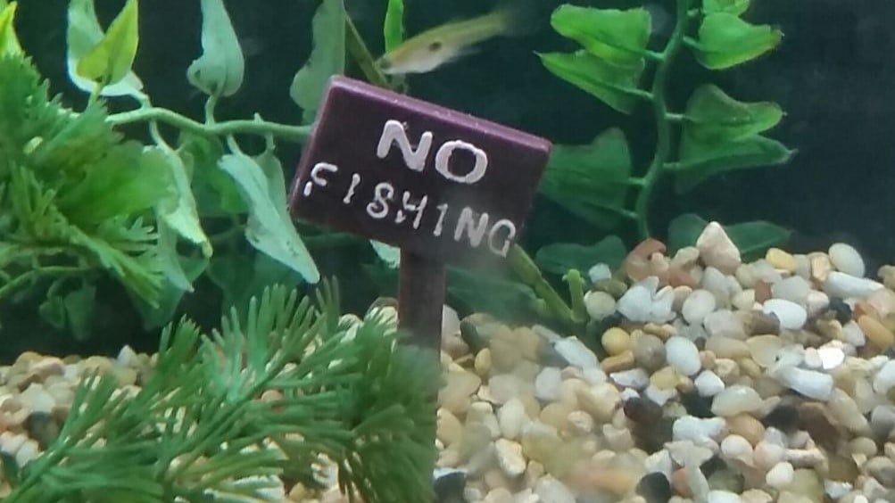 Image of: 5. No Fishing Sign