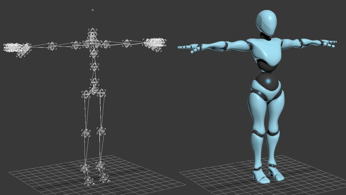 The 'skeleton' of bones and joints on the left is used to manipulate and animate the 3D model on the right