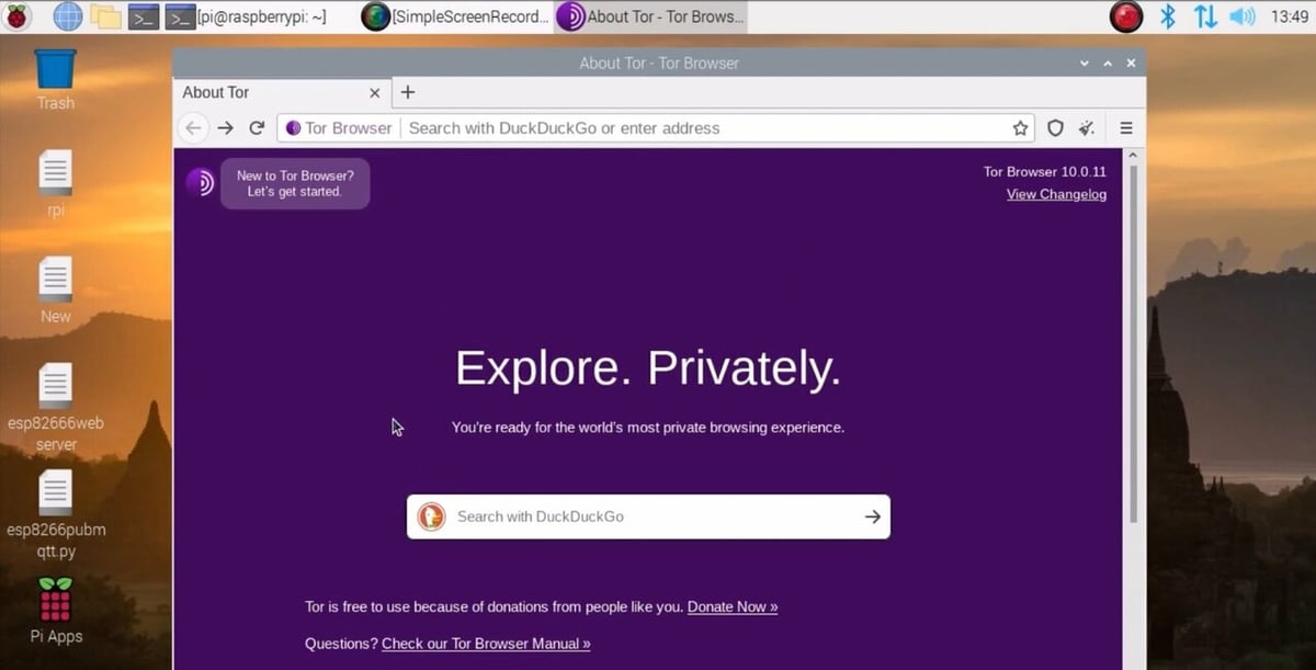 Tor freshly installed on Raspberry Pi OS