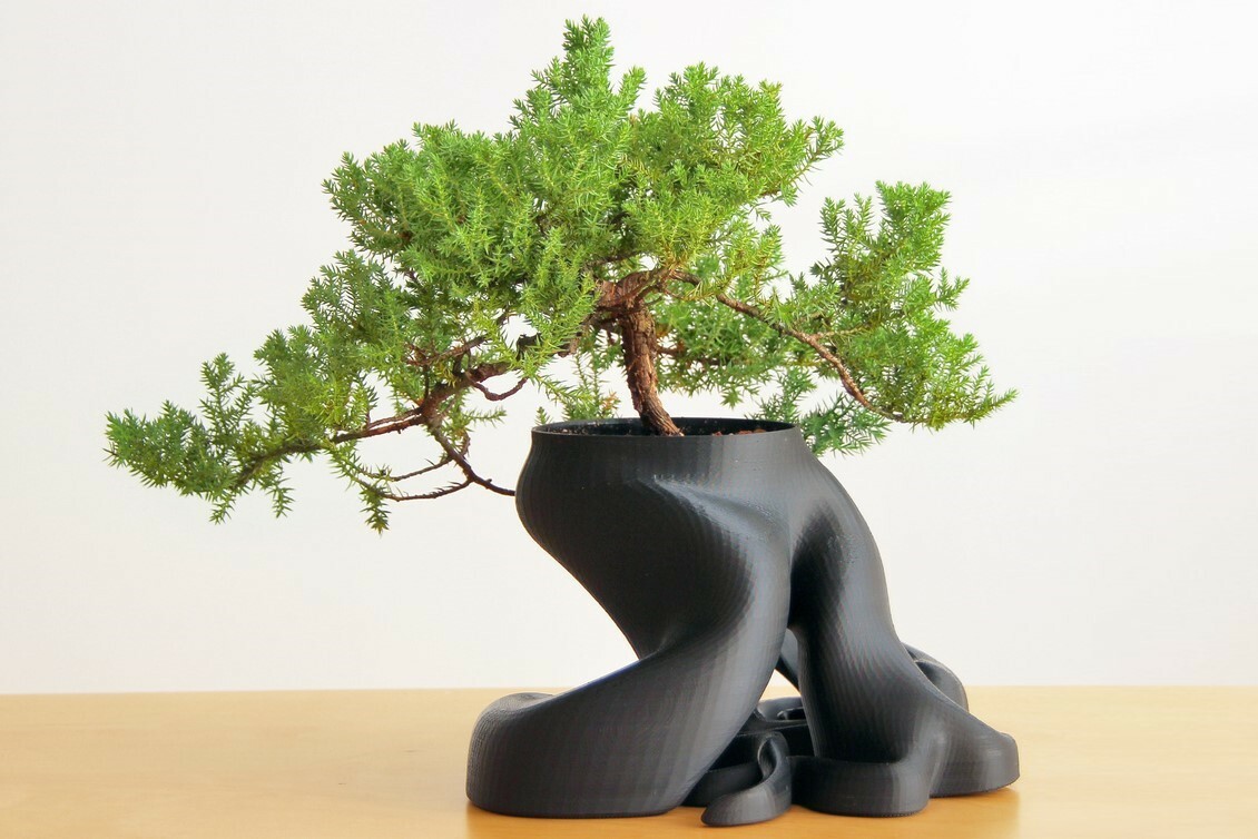 This bonsai tree was designed in 3ds Max