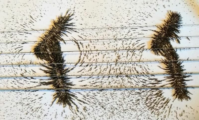 Magnetic fields can be seen using iron filings on a white backdrop