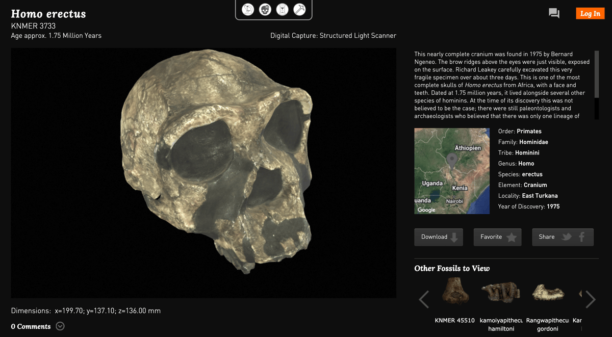 Image of Free STL Files, Free 3D Printer Files, Free 3D Print Models: African Fossils
