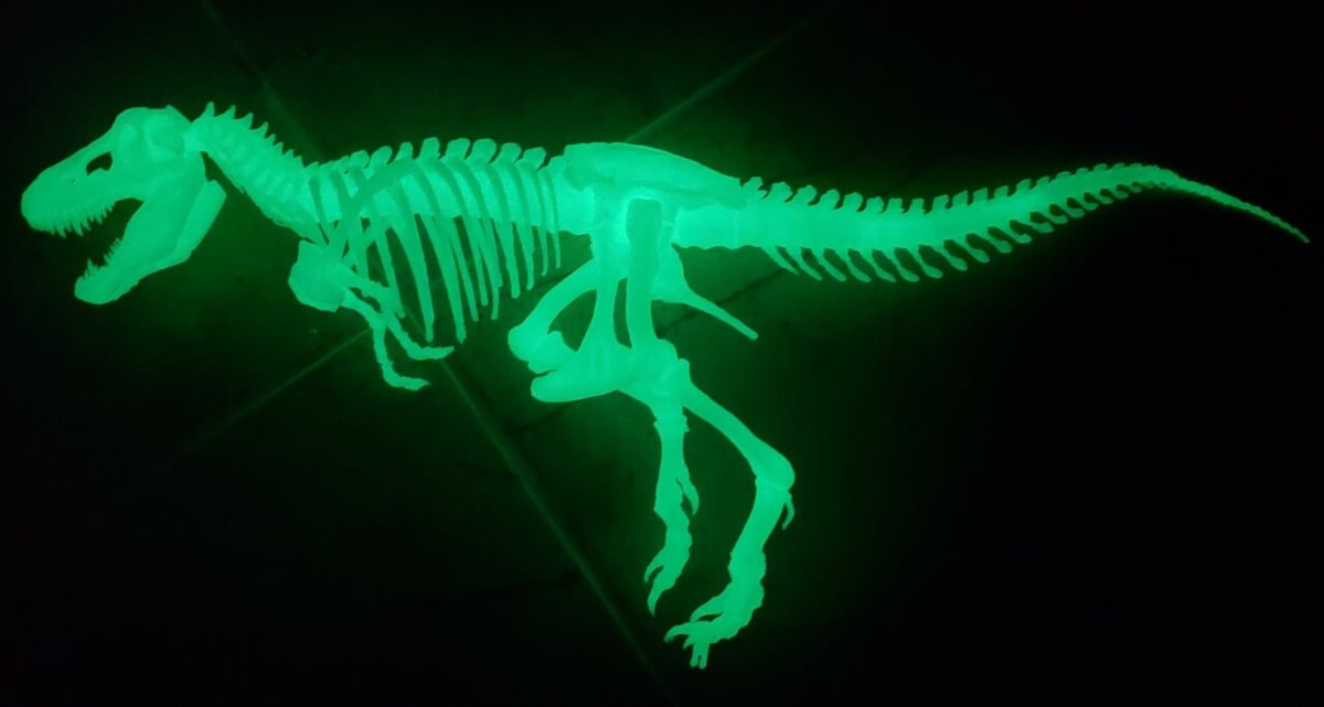 Who says glowing skeletons are just for Halloween?