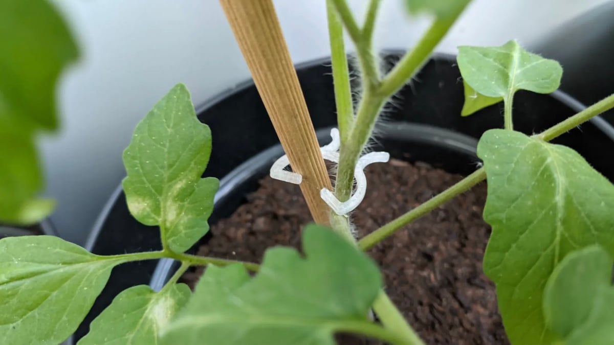 Image of Easy & Fun Things to 3D Print: Plant Clips
