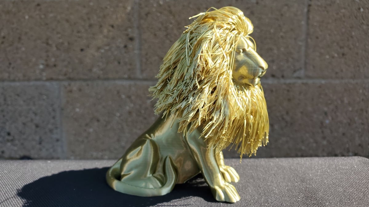 Image of: 10. Hairy Lion