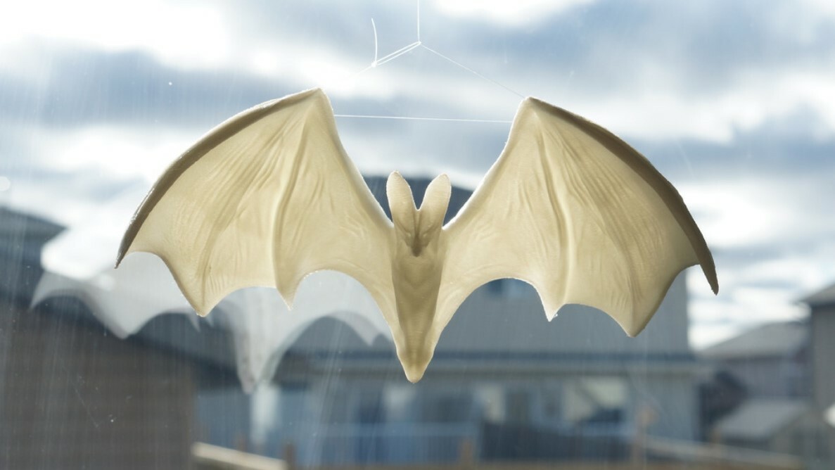 The presence of bats in Halloween decorations has many different lores and legends