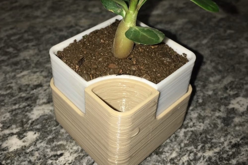 A great way to keep your plants healthy and green while you're busy at work