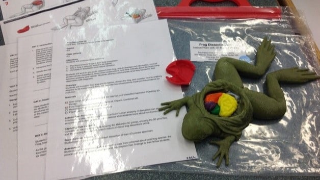 Image of: 4. Frog Dissection Kit 