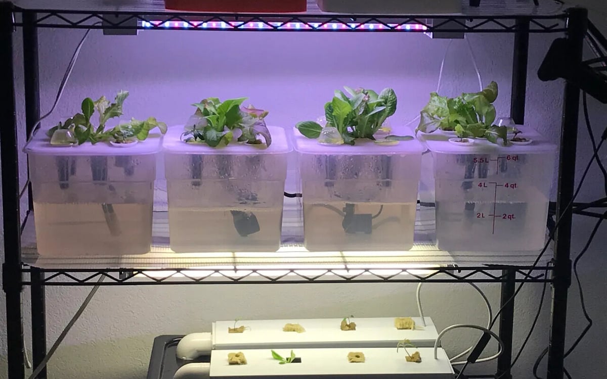 Configure this customizable hydroponics setup to your needs