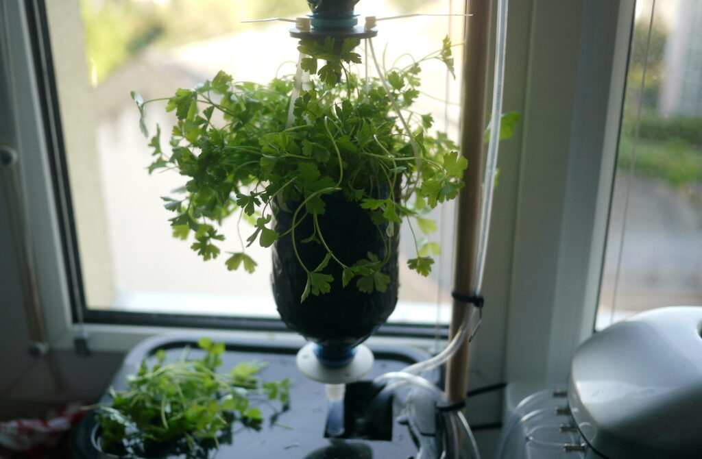 This design uses old bottles to create hanging hydroponics