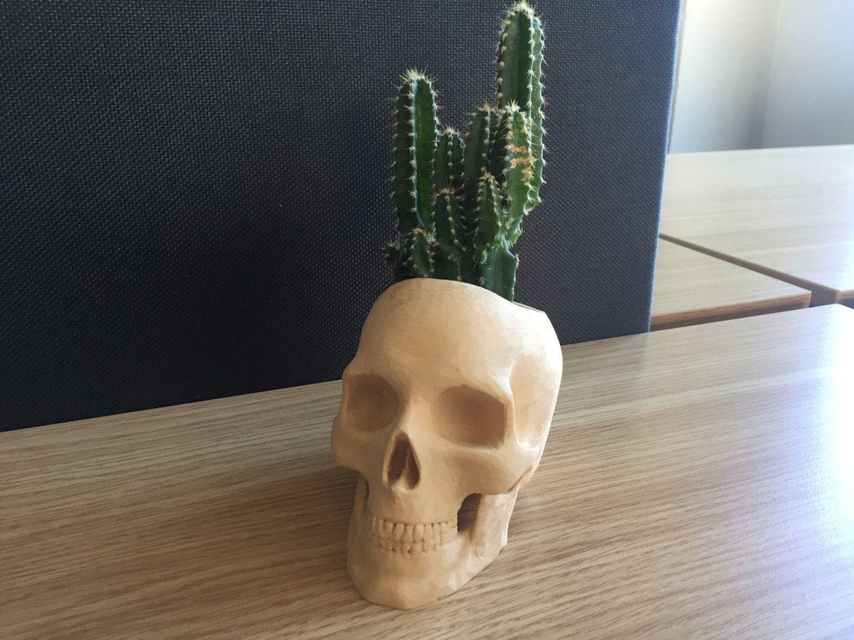 Off with his... skull planter