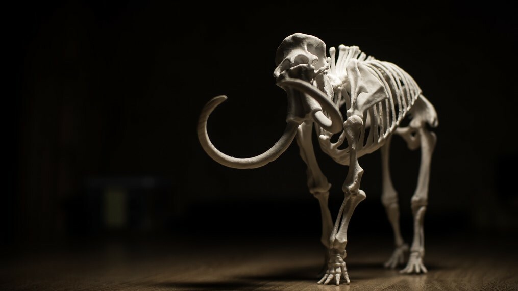 3D printing can bring those rarities to anywhere in the world