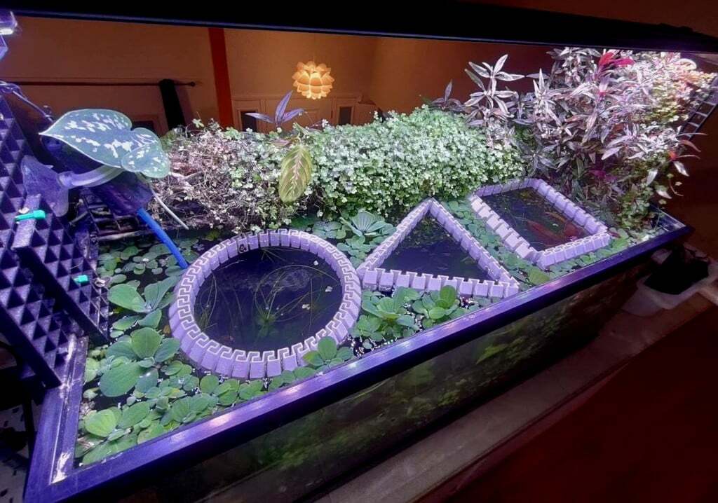Let those floating plants grow wild with the floating plant barriers.