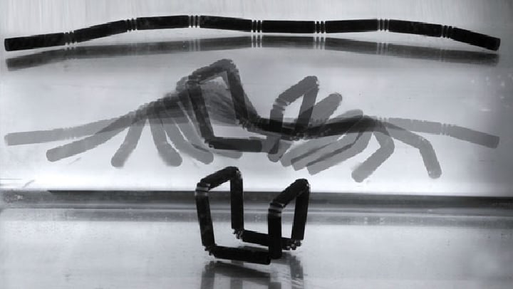 This self assembling strand folds into a cube when emersed in water