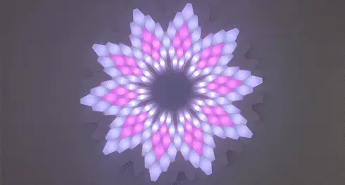 Image of: 8. Lotus 3D LED