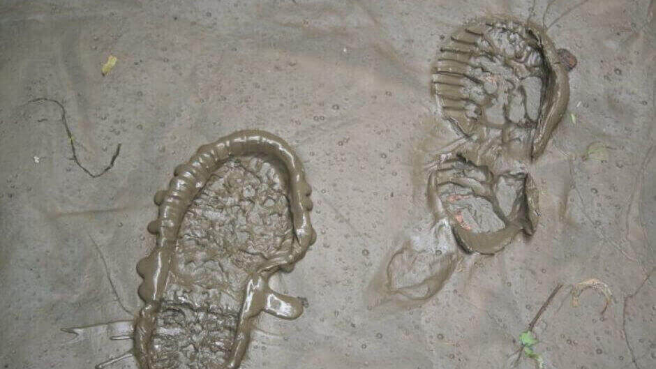 3D Forensics Capture Shoe Prints Instantly in Three Dimensions | All3DP