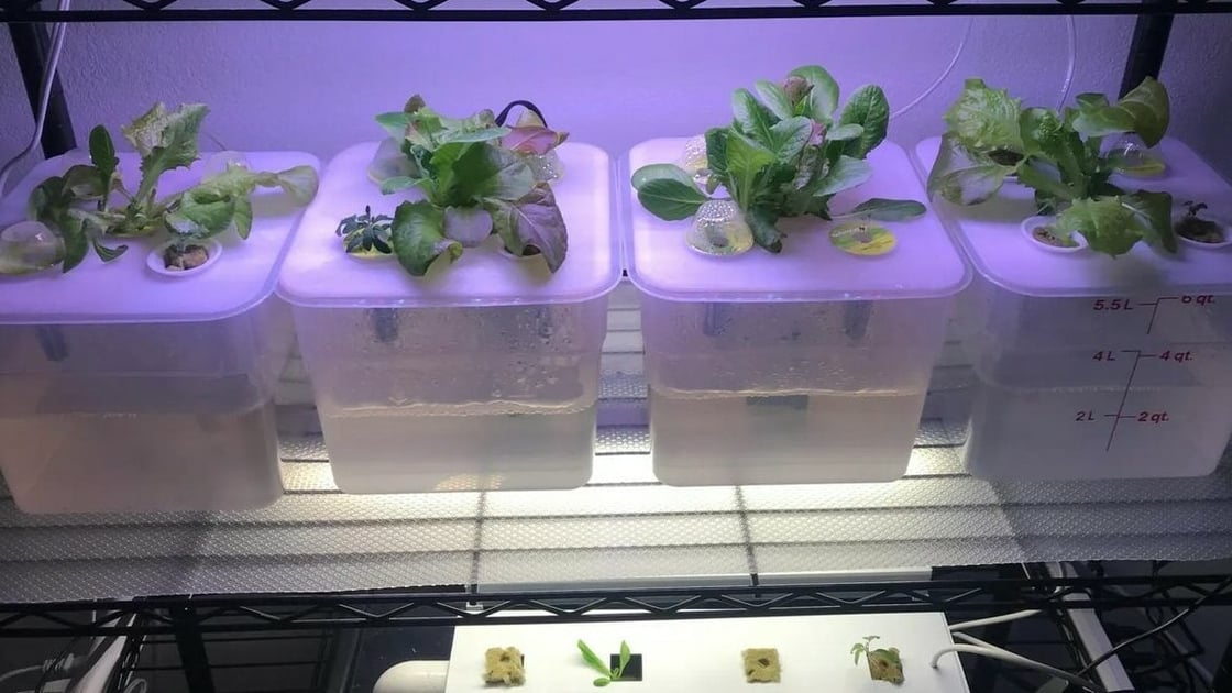 3D Printed Hydroponics: 5 Amazing Projects | All3DP