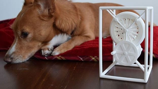 Featured image of Woof Woof! Miracle the 3D Printing Dog (and His Human)