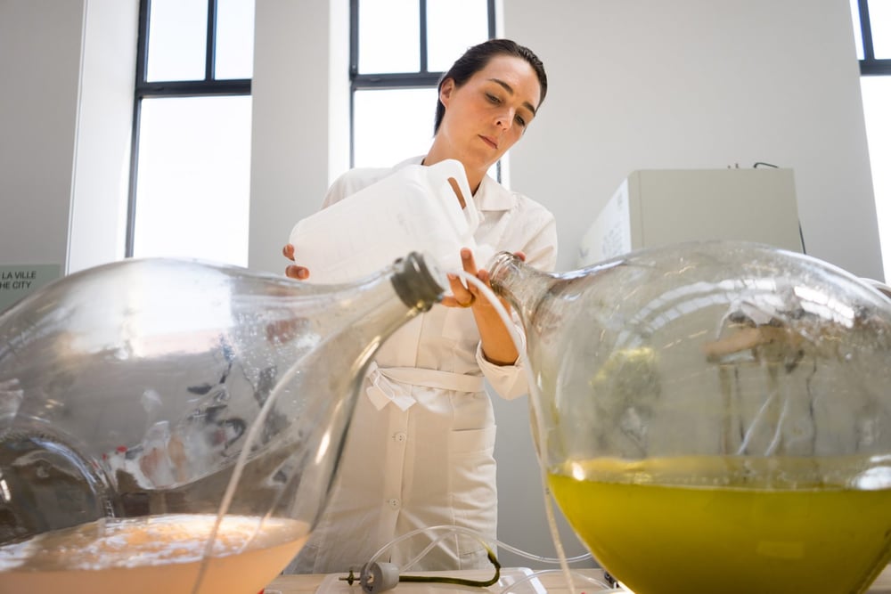 Featured image of Dutch Designers Transform Algae Into 3D Printable Biopolymer Material