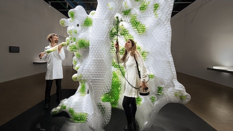 Featured image of Explore World’s First 3D Printed Bio-Reactor at Centre Pompidou