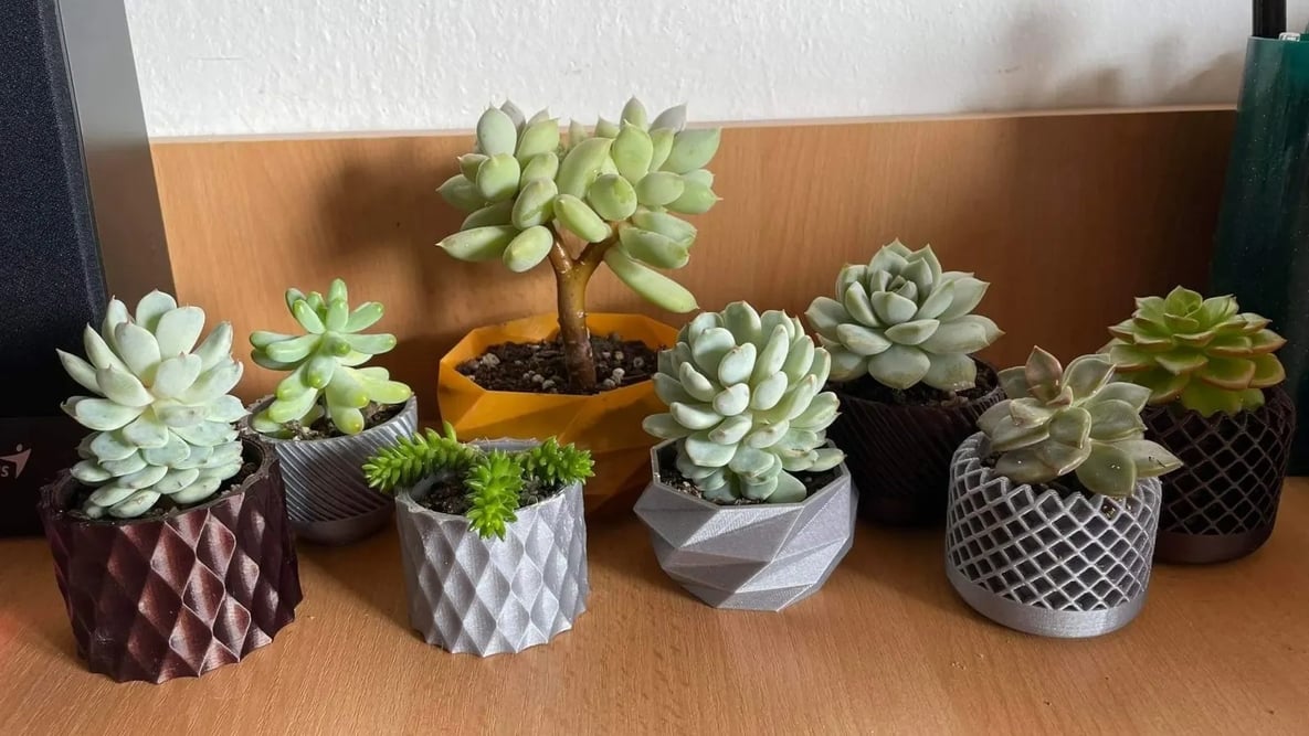 Featured image of 3D Printed Planter: 25 Great Models for Green Thumbs