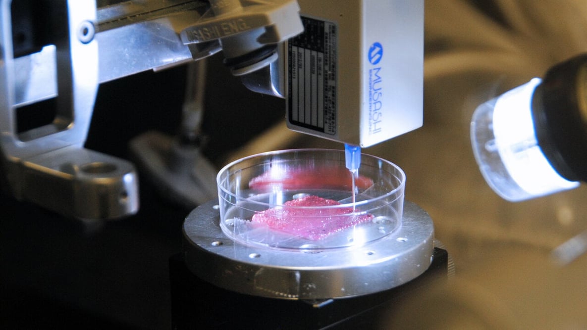 Featured image of What Is 3D Bioprinting? – Simply Explained