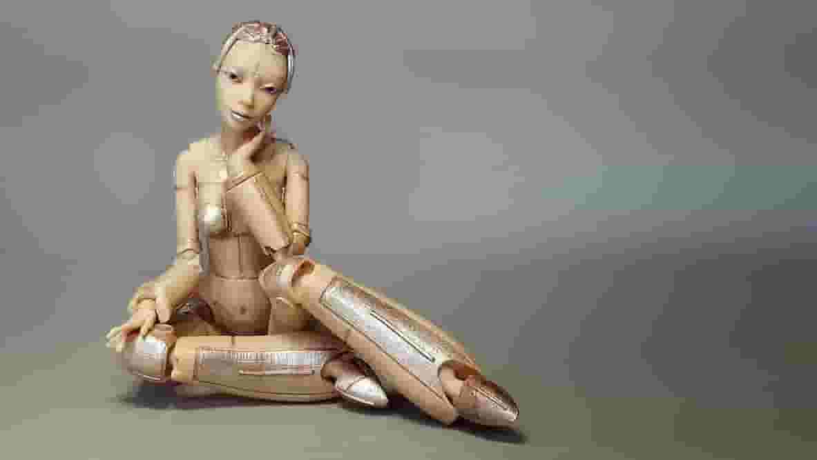 Featured image of 3D Printed Robotica
