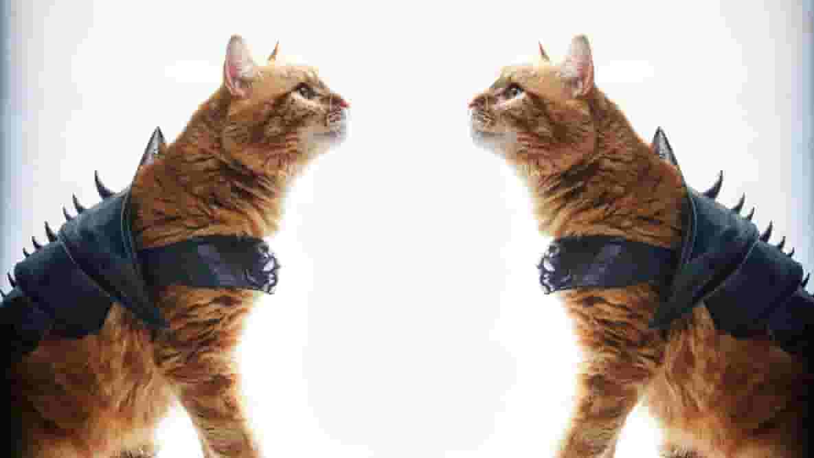 Featured image of Dressed To Kill: 3D Printed Cat Armor