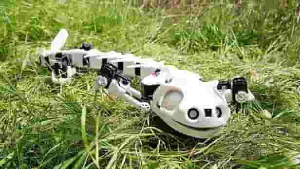 Featured image of Pleurobot is 3D Printed Robot that Walks & Swims like a Salamander