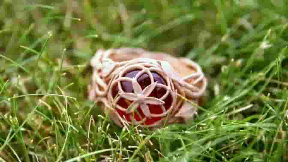 Featured image of 3D Printed Ring Features in Tomorrowland Music Festival Teaser