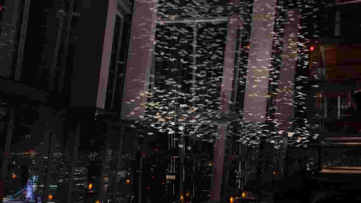Featured image of Aqua Shard Has a Shower of 3D Printed Leaves For Christmas