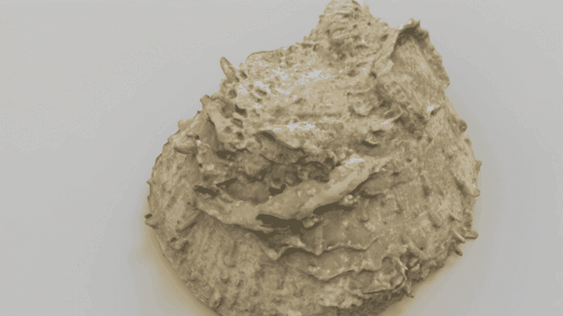 Featured image of Threeding and Artec Digitize Massive Paleontology Collection