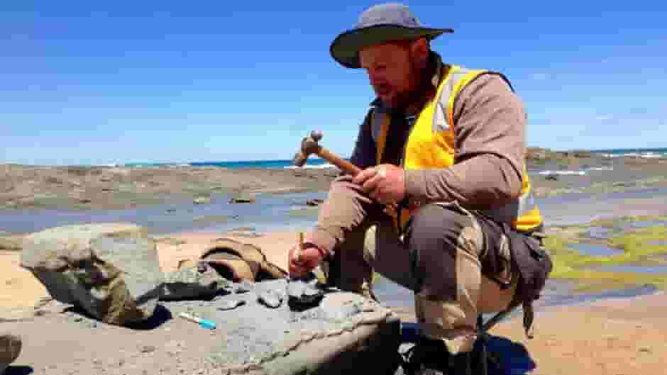 Featured image of Using Virtual Reality and 3D Printing to Learn About Dinosaurs