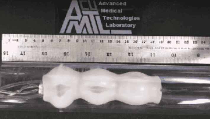Featured image of Worm-Shaped Robot Removes Discomfort from Colonoscopies