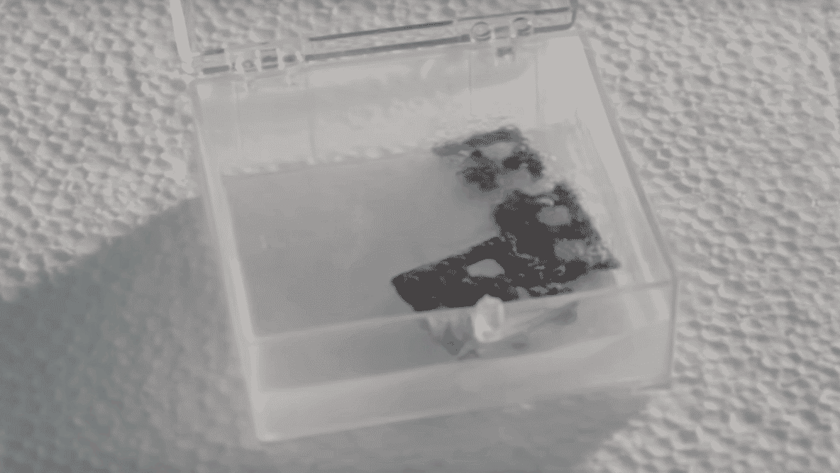 Featured image of Researchers 3D Print Impossibly Light Graphene In a Freezer