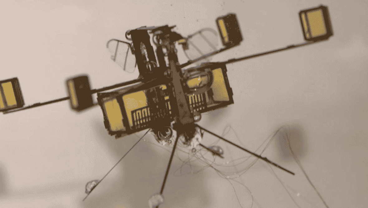 Featured image of Insect-inspired Hybrid Drone Flies, Swims and Explodes Out of the Water