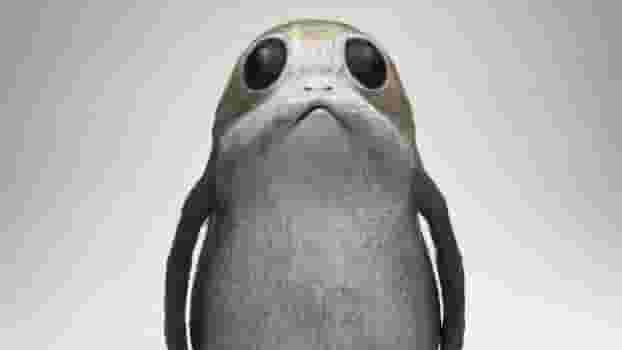 Featured image of 3D Print Your Own Star Wars Porg