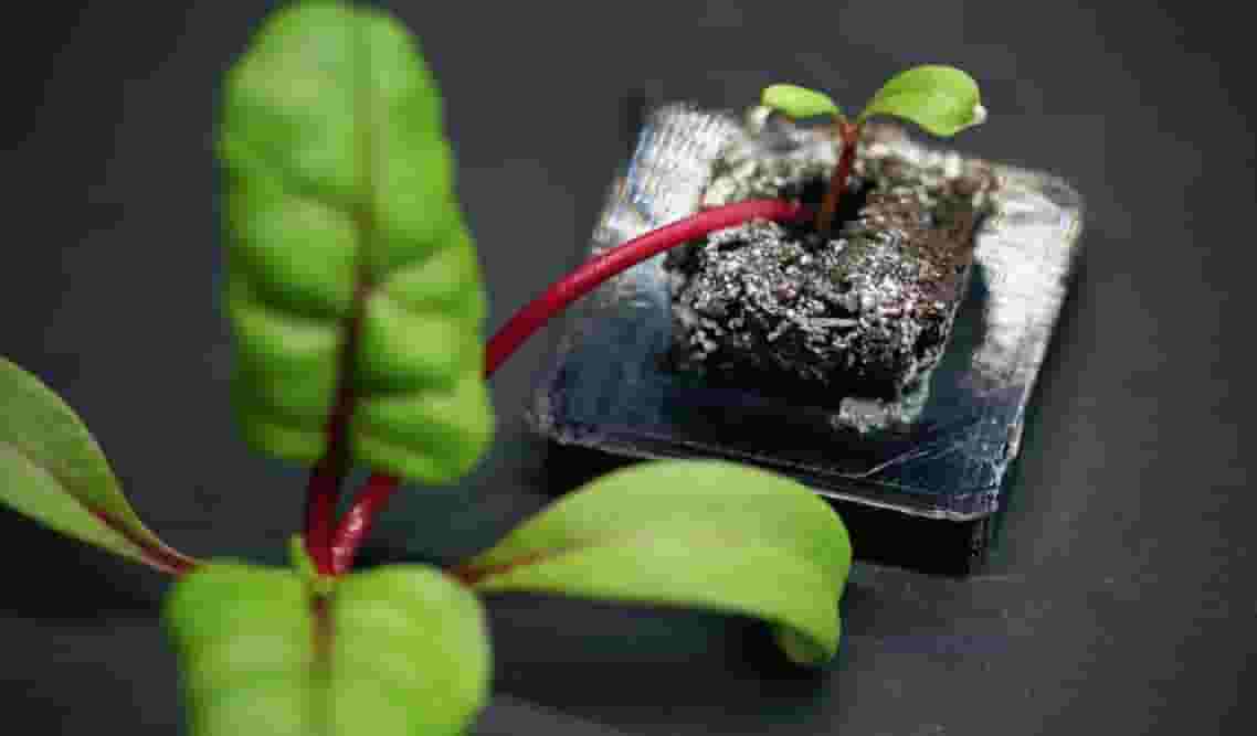 Featured image of Farmshelf Uses 3D Printed Parts For Smart Indoor Urban Farming