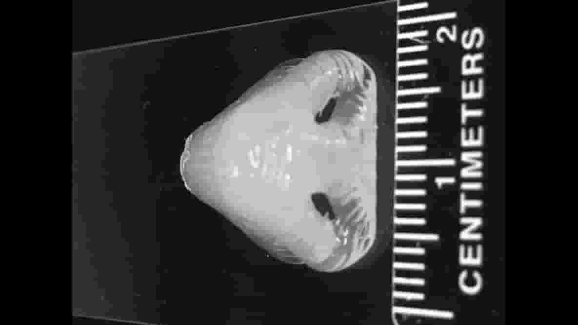 Featured image of How to 3D Print a Better Nose with PDMS Polymer