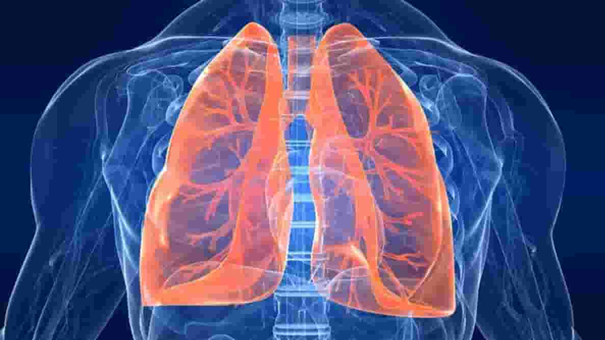 Featured image of 3D Printed Super-Soft Structures that Replicate Brain and Lungs