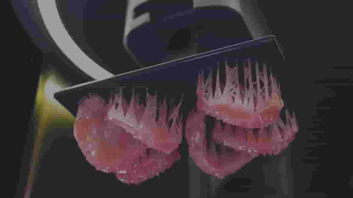 Featured image of Carbon Takes a Bigger Bite of the Dental Market with New Materials and Partnerships
