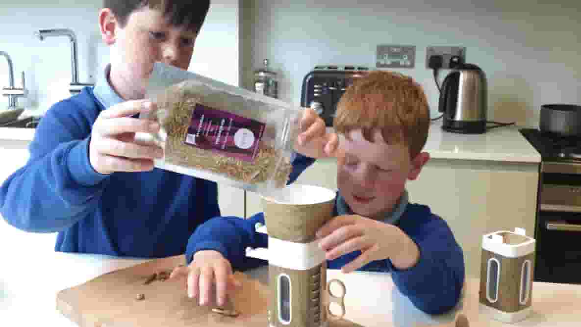 Featured image of 3D Printed Tastebugs Challenge Children to Eat Insects