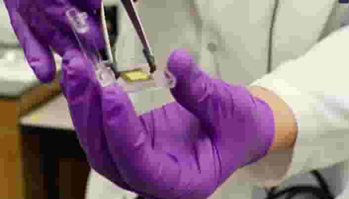 Featured image of Nano-3D Printing Technology Helps Develop Improved Biochips