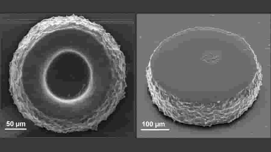 Featured image of Russian Physicists Develop Special Nanoparticles for Biomedical 3D Printing Process