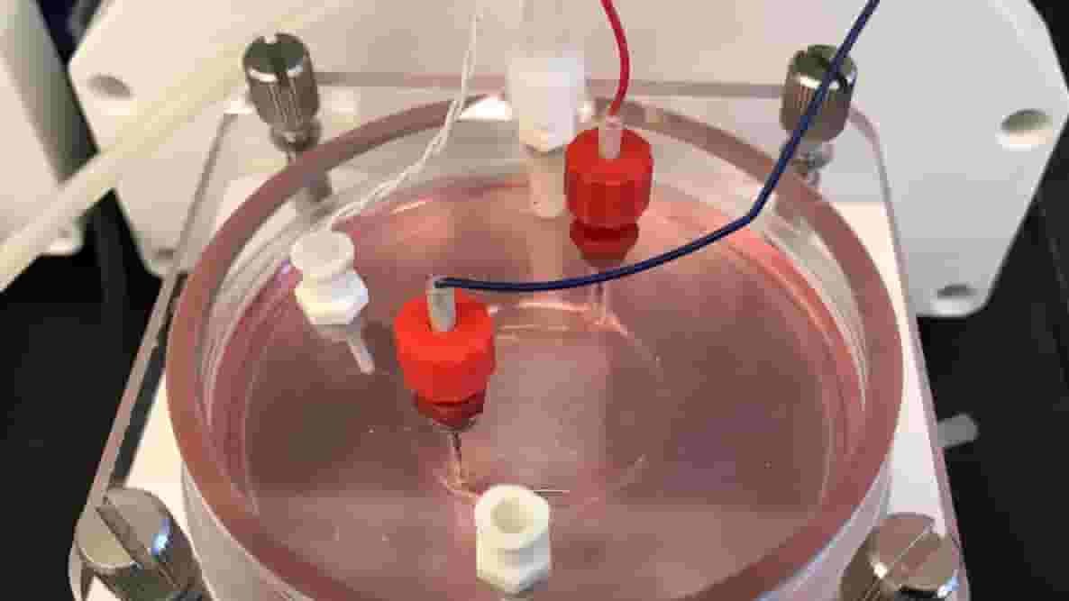 Featured image of BioLife4D Successfully 3D Prints Human Cardiac Patch