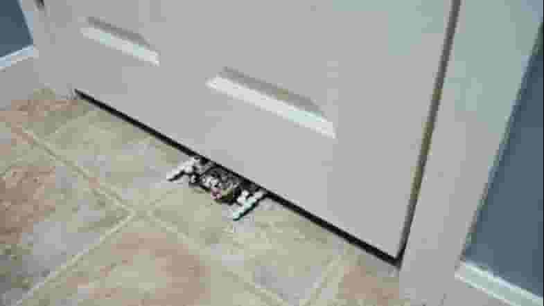 Featured image of This 3D Printed Robot Can Crawl Underneath Doors