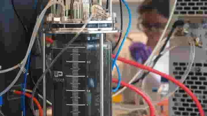 Featured image of Canadian Start-up is Turning Organic Food Scraps into 3D Printing Filament