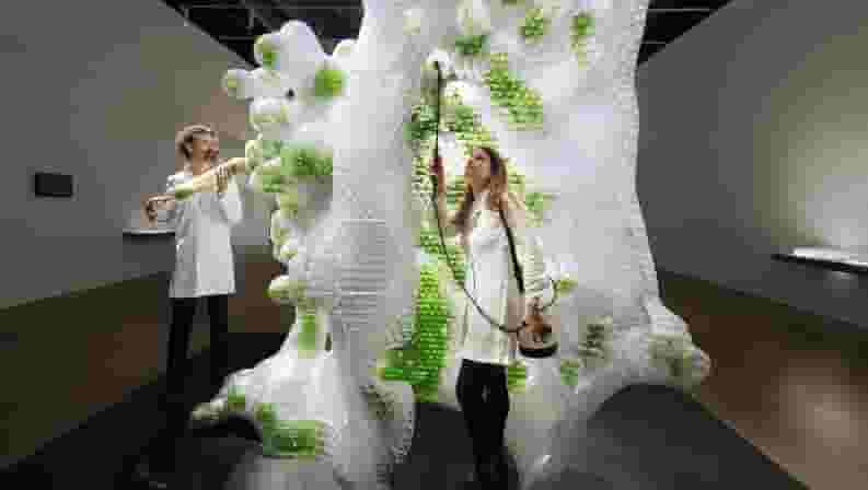Featured image of Explore World’s First 3D Printed Bio-Reactor at Centre Pompidou