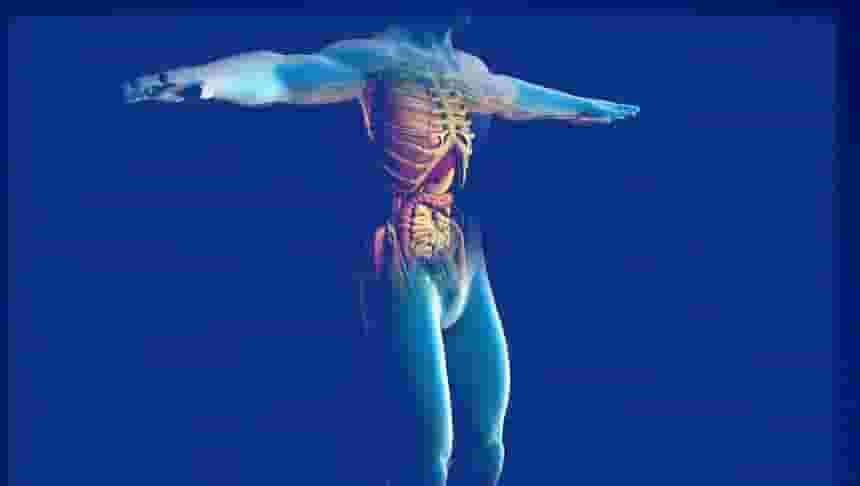 Featured image of World First 3D Printed Bionic Pancreas Could One Day Treat Diabetes