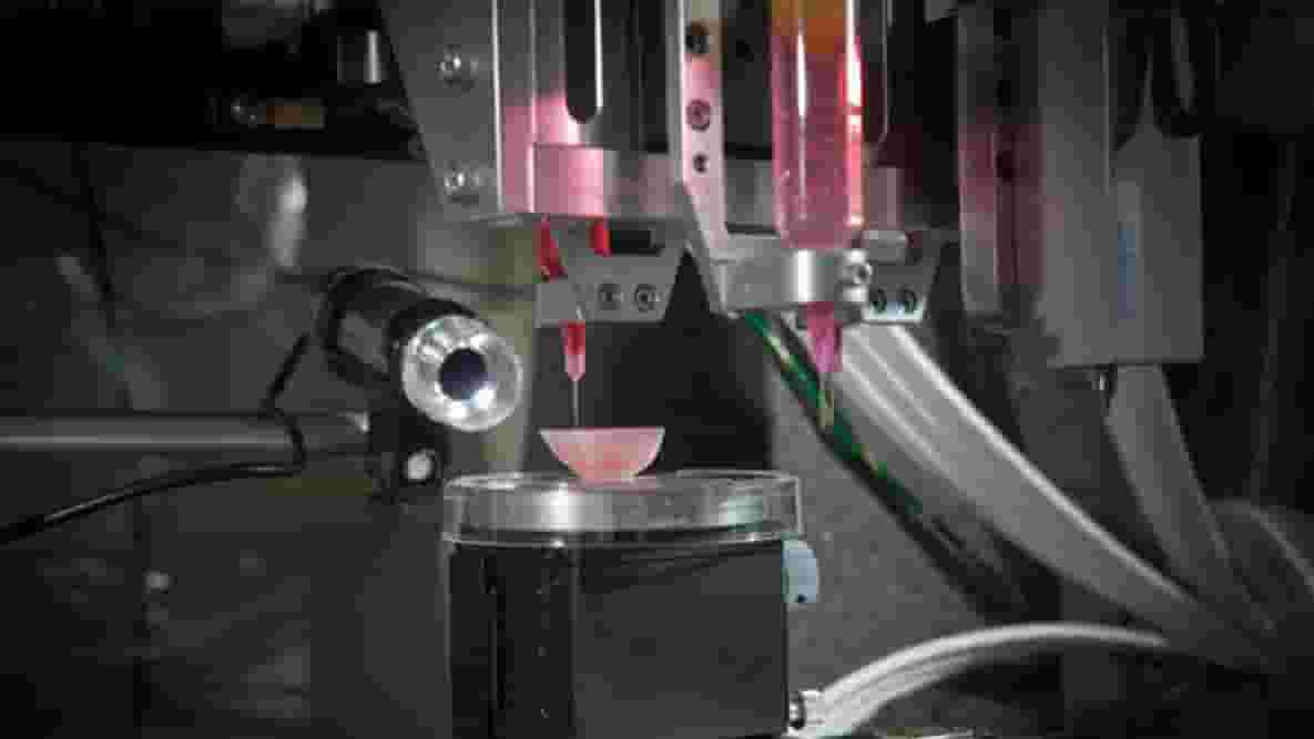 Featured image of 3D Printed Kidney: The Latest Advancements